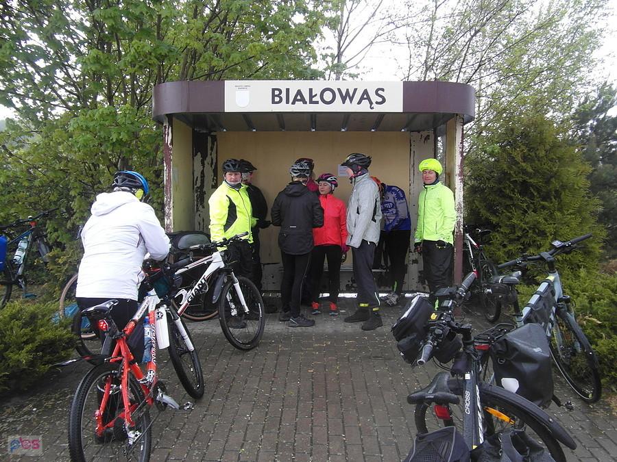 Na trasie - Białowąs