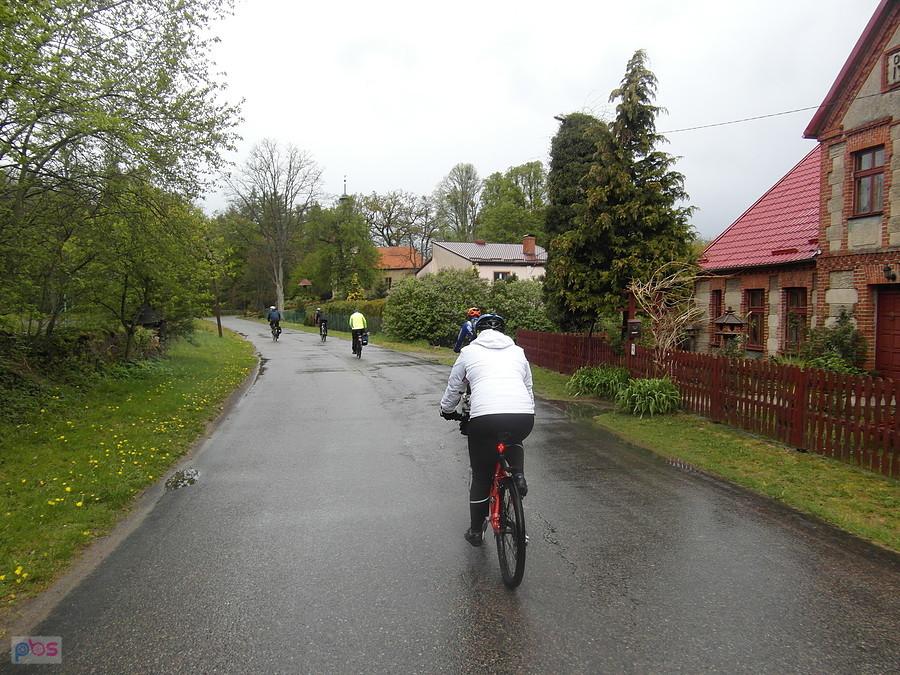Białowąs