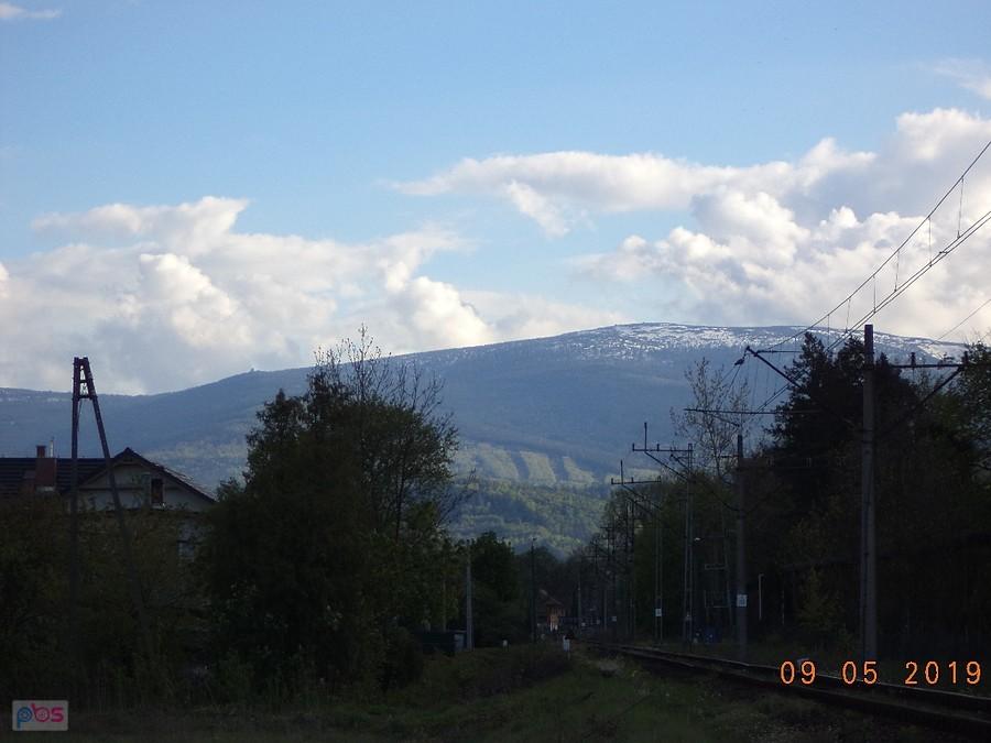 Nowe wyharatane pasy lasu na horyzoncie..