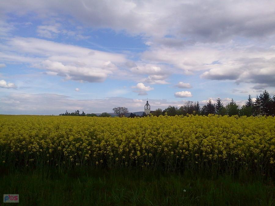 Pogórze