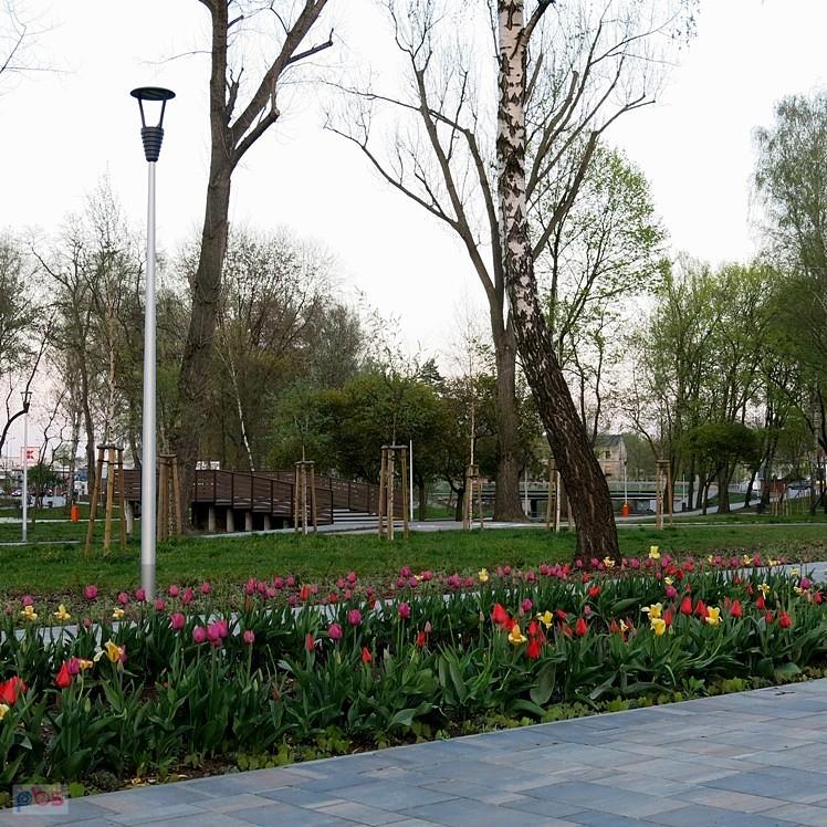 Tulipany w Parku Bulwary