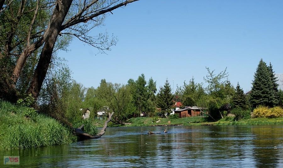 Zbliżamy się do inowłodzkiej przystani