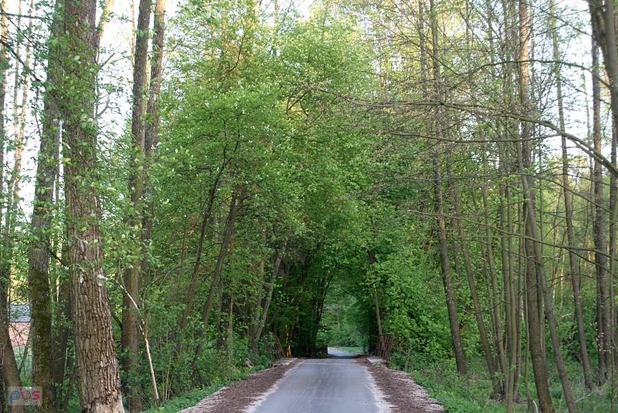 Przez tunel