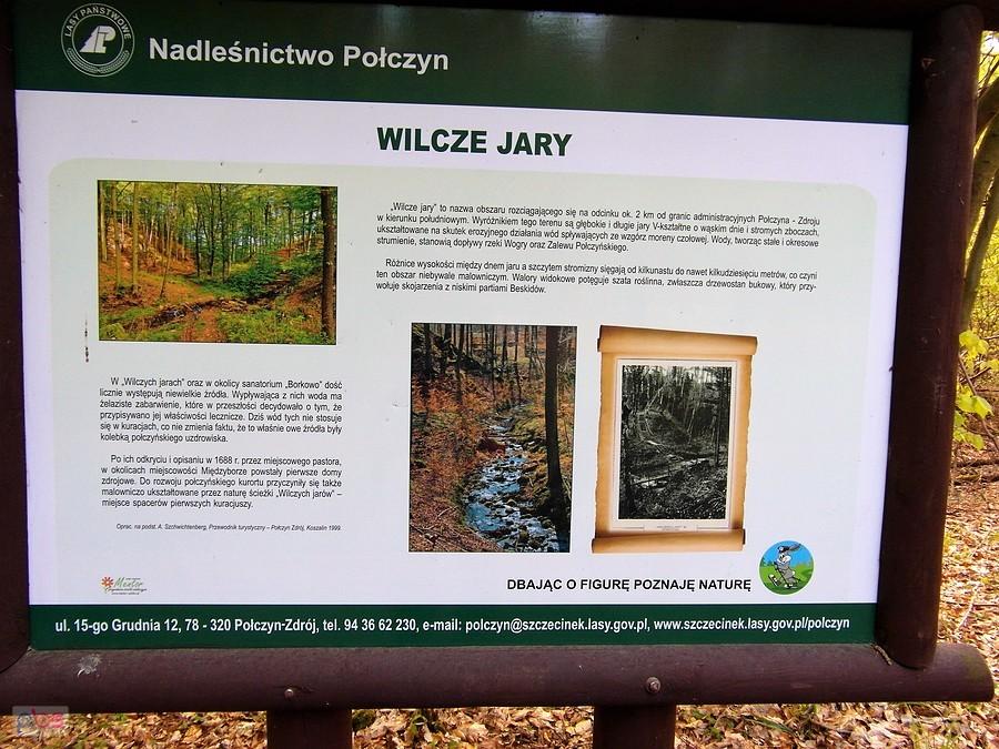 Wilcze Jary - Połczyn Zdrój