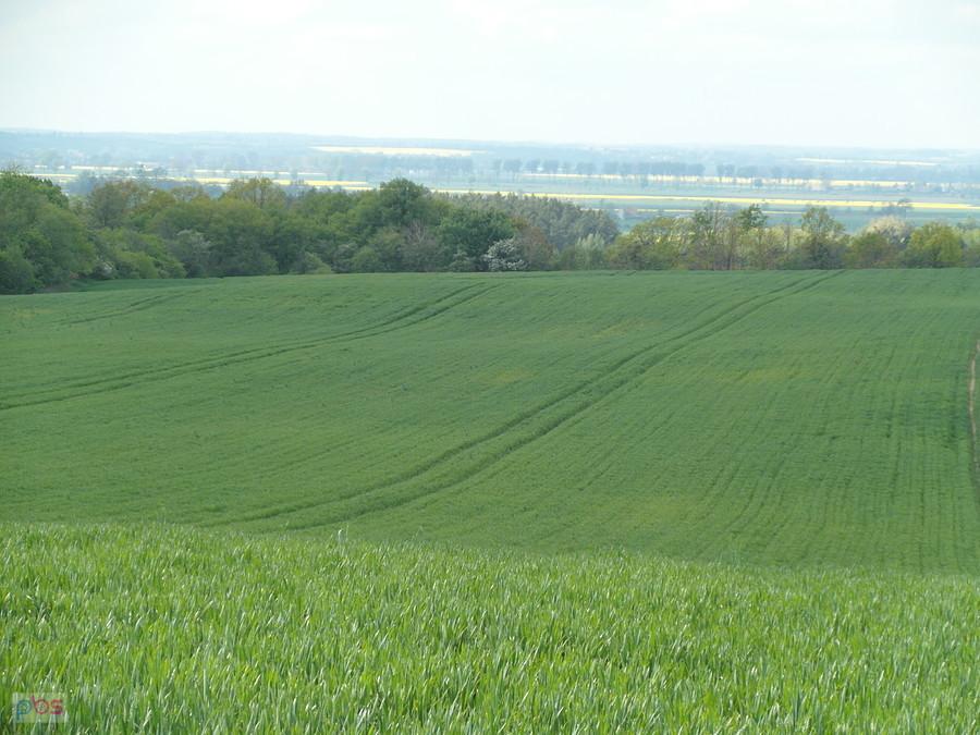 Kierunek Malbork