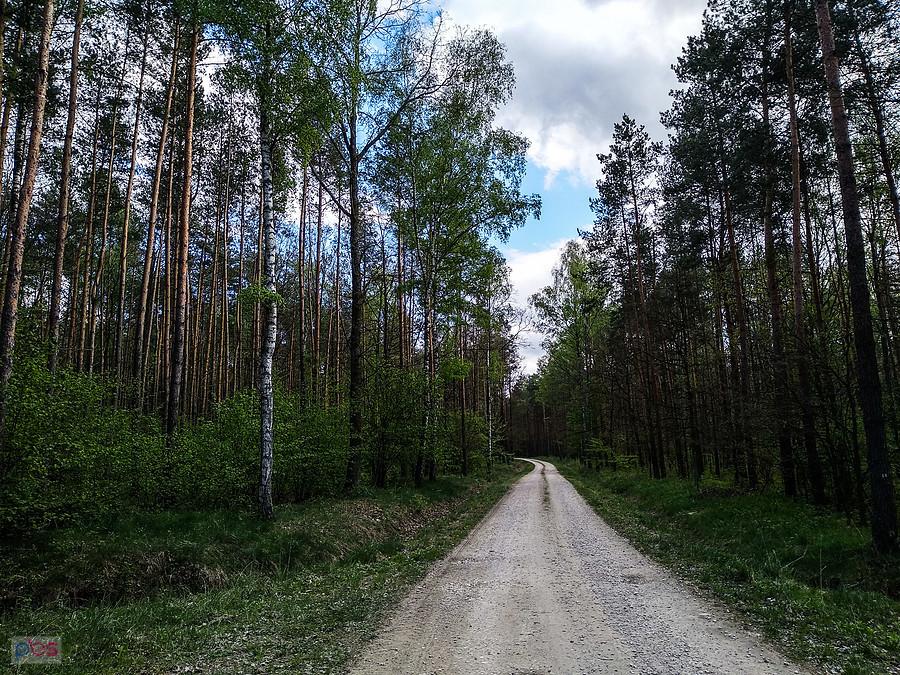 Takie szutry są OK