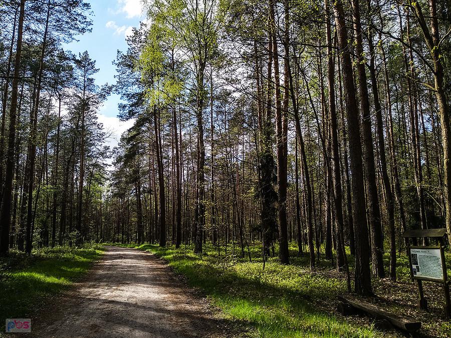 Słonko od czasu do czasu wygląda zza chmurki