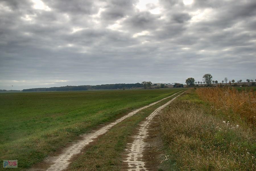 Na witkowskich łąkach