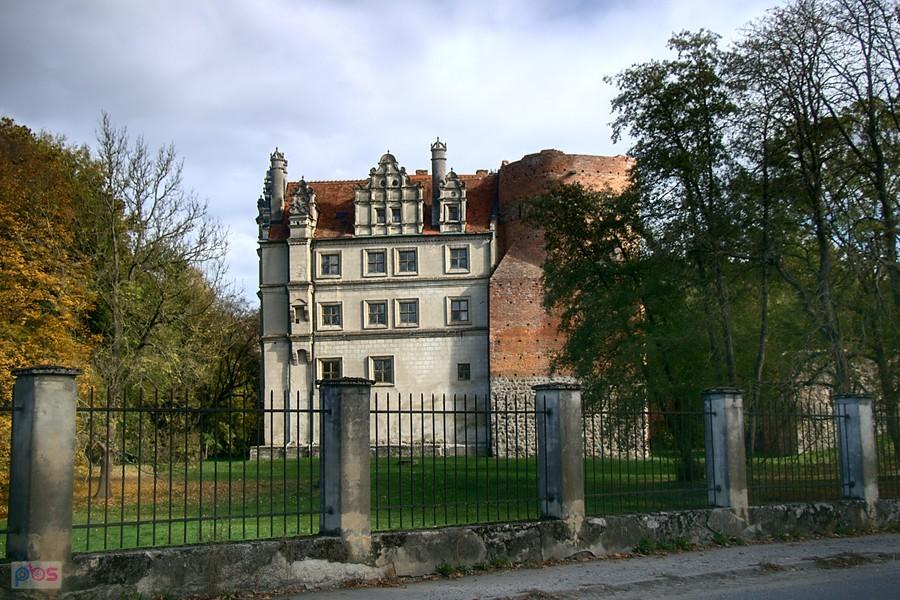 Zamek w Pęzinie