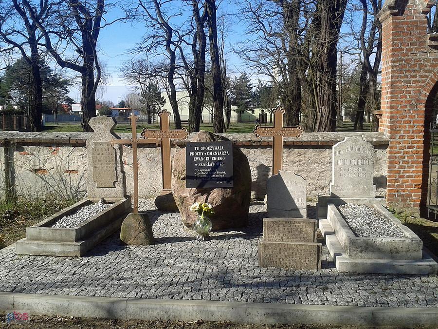 Prochy z cmentarza w Szarłatowie. Cmentarz ewangelicki Kole