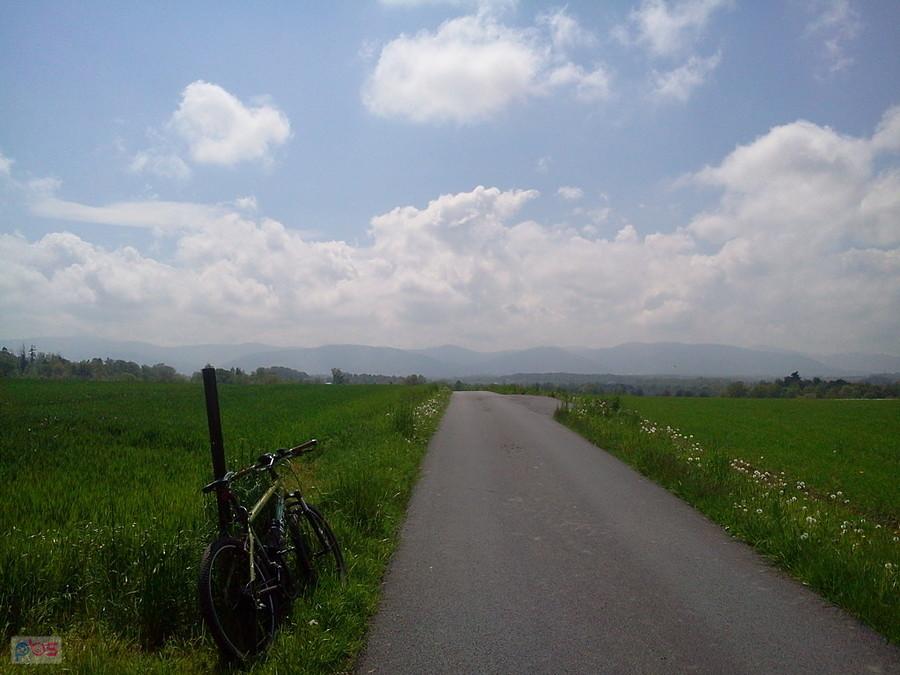 Widok z Trzanowic na Beskidy