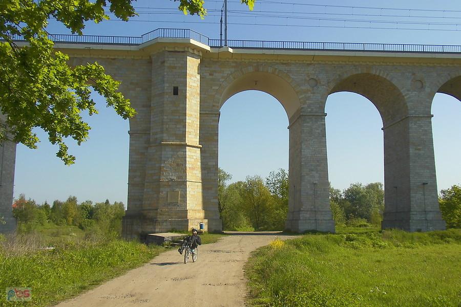 Bobrowa ścieżka