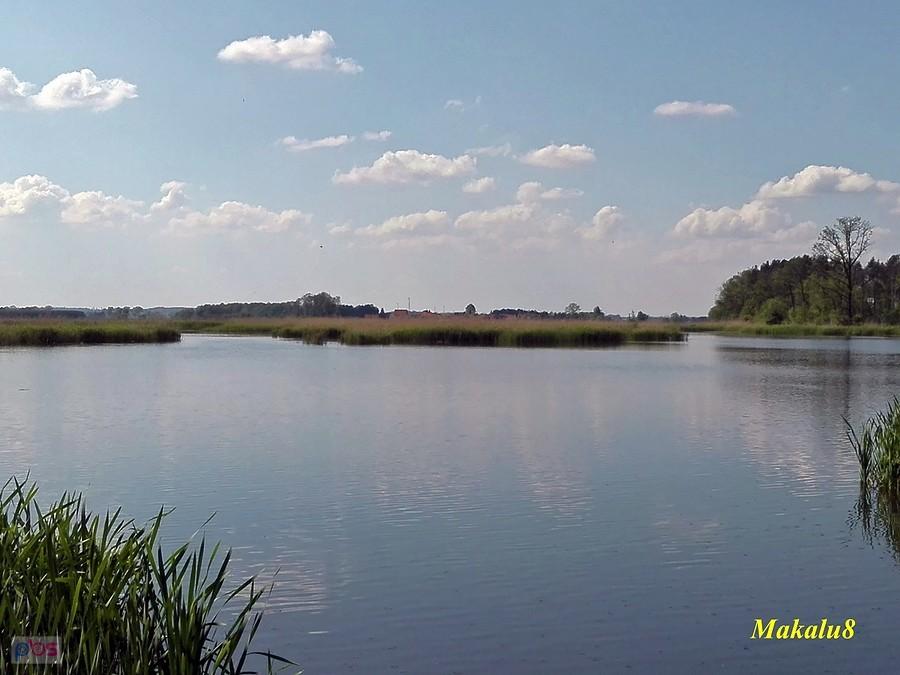 Staw koło Pawełek