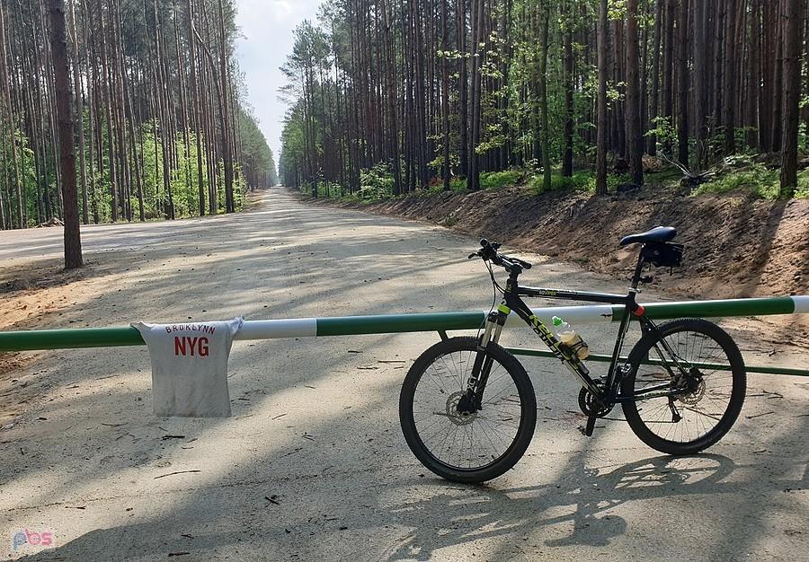 Wjazd na drogę do Niedźwiedzia.