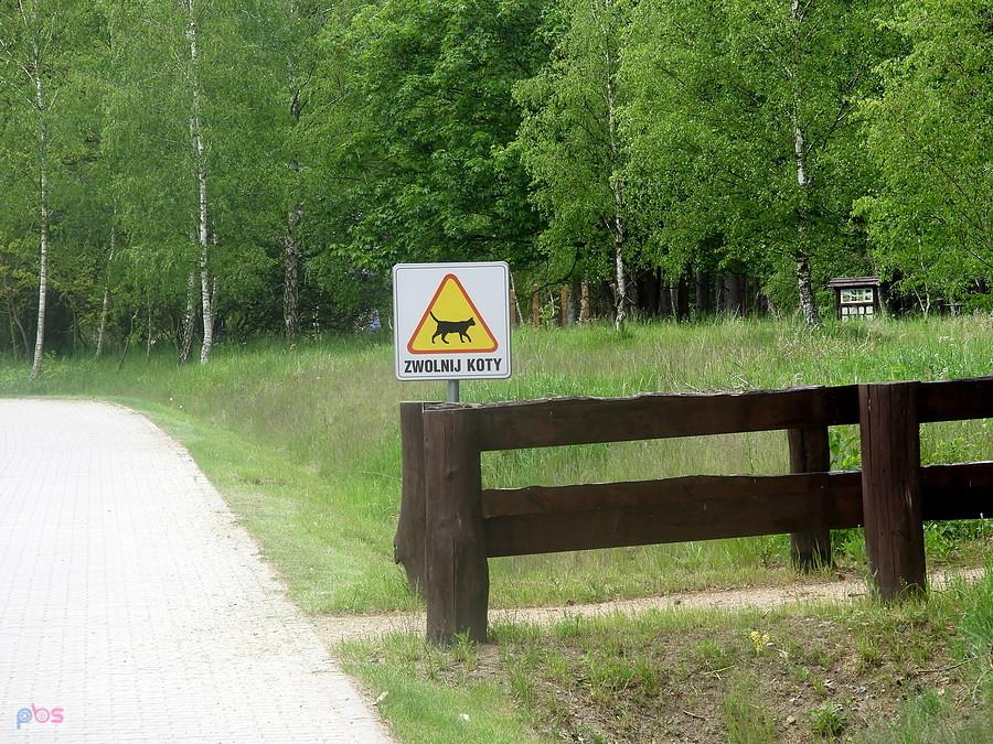 Tabliczka w okolicach schroniska dla bezdomnych zwierząt (tuż przed Lubieszynem).