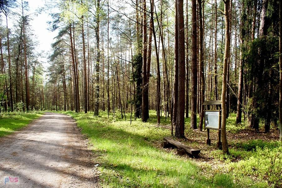 Na czerwonym szlaku rowerowym