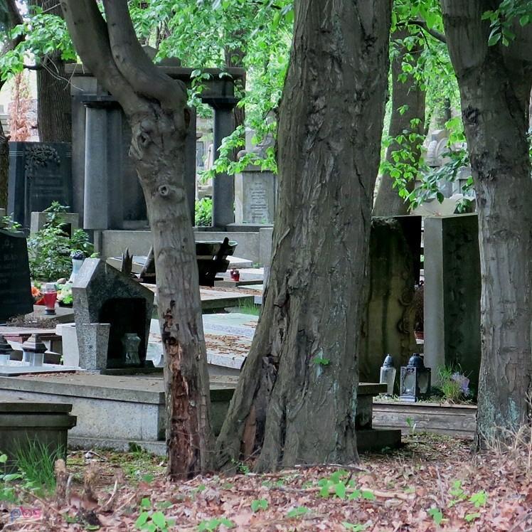 Na kirkucie wrocławskim