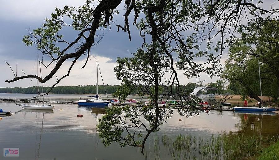 Jezioro Miedwie w Morzyczynie