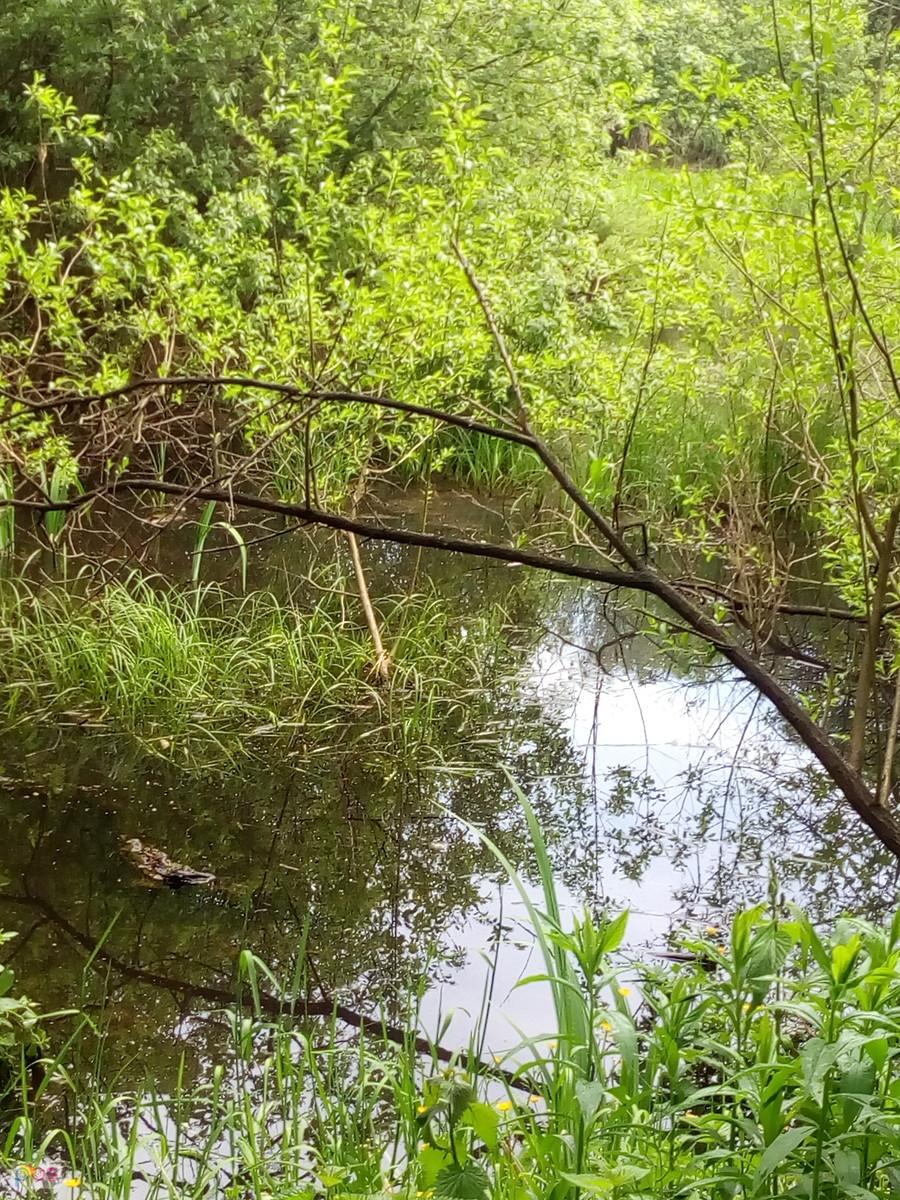 Bagno znowu z wodą
