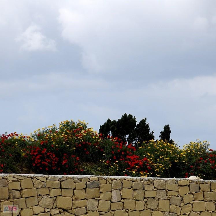 Kolorowy pas drogowy - Malta