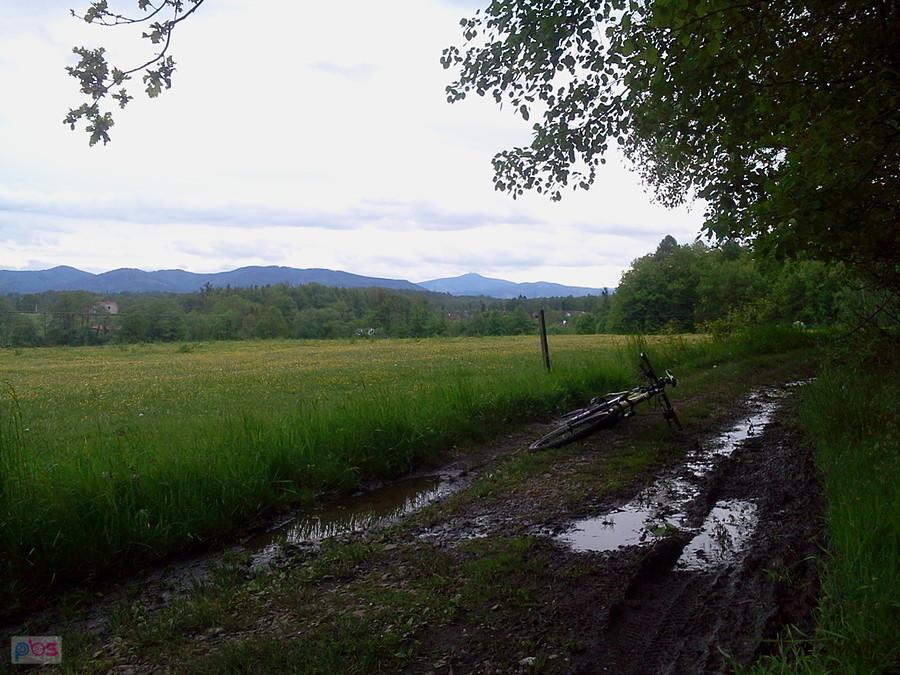 Na leśnych drogach