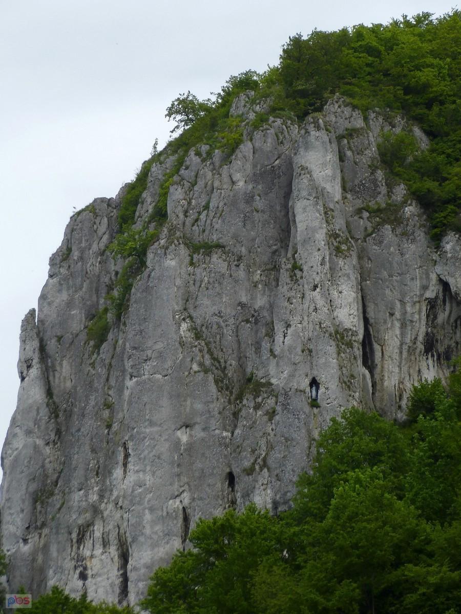Sokolica