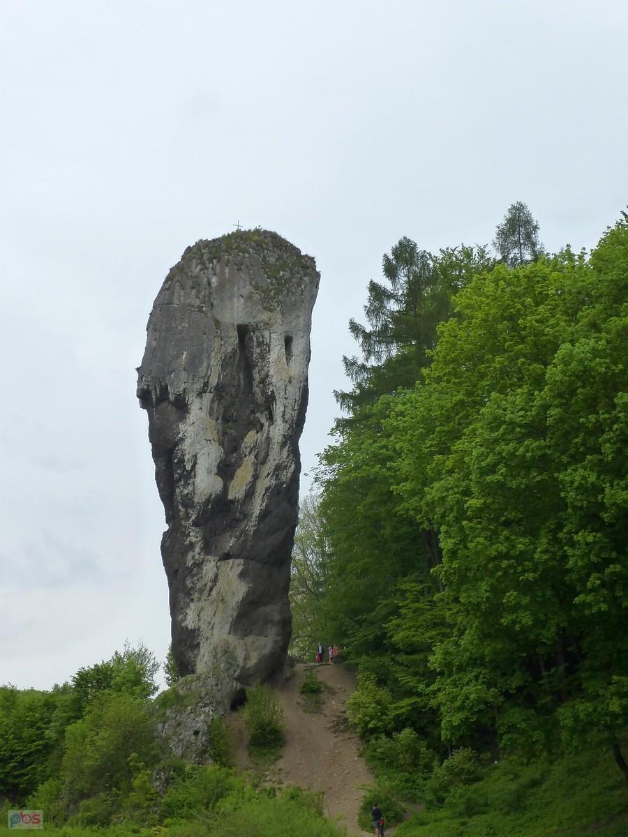 Maczuga Herkulesa