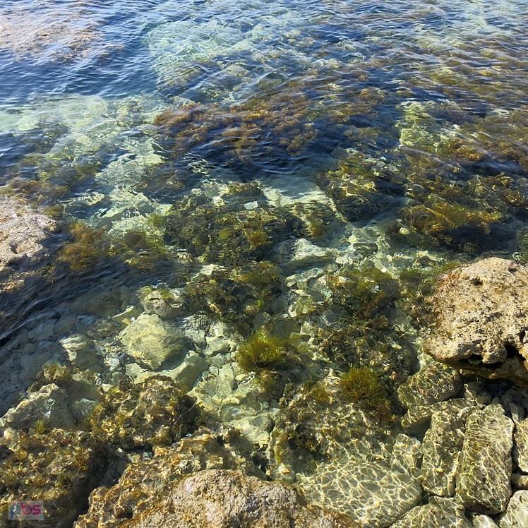 Wszystko widać - Marsaskala - Malta