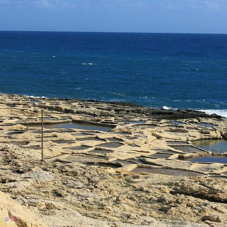 Pansy solne - jedne z wielu po drodze - Malta