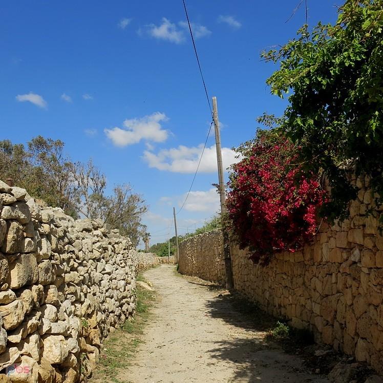 Polną drogą - Malta