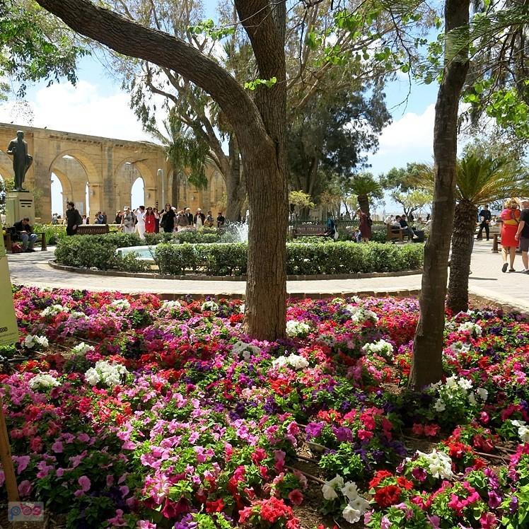 Górny ogród - Valletta - Malta