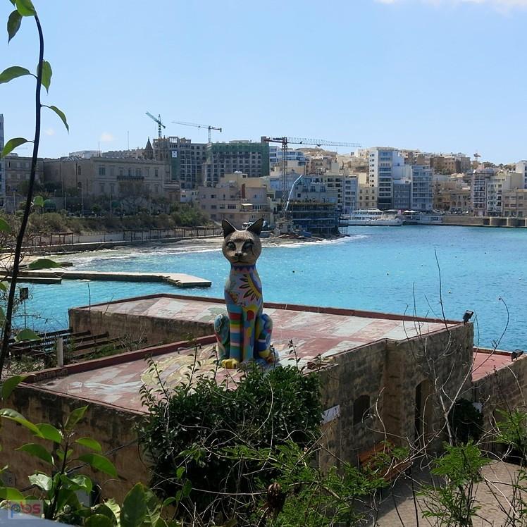 Pomnik kota - Malta