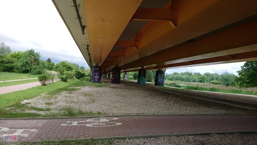 Pod estakadą do Mostu Siekierkowskiego