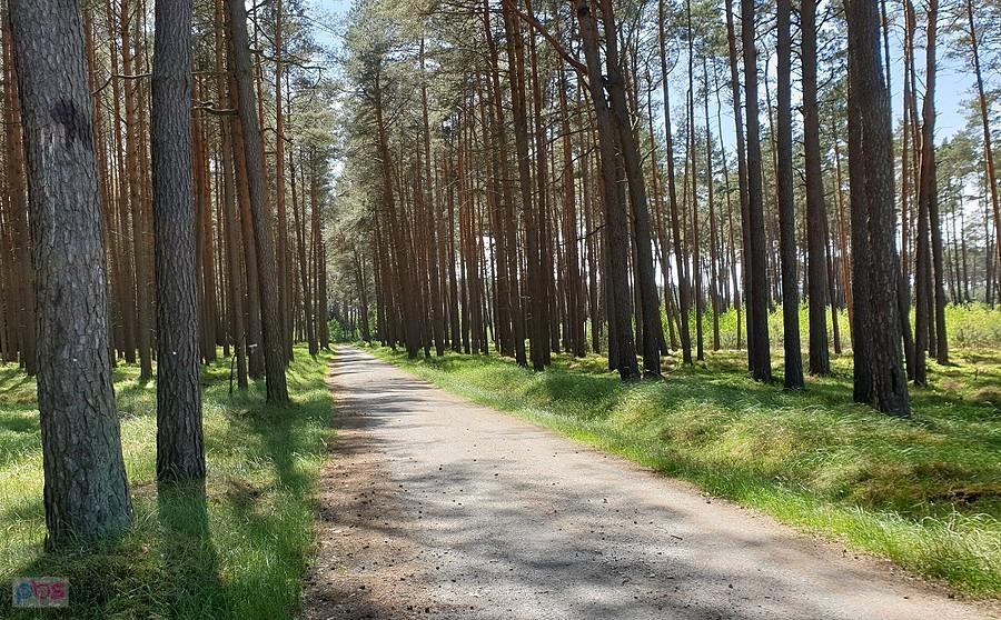 Dojazd Pożarowy 32