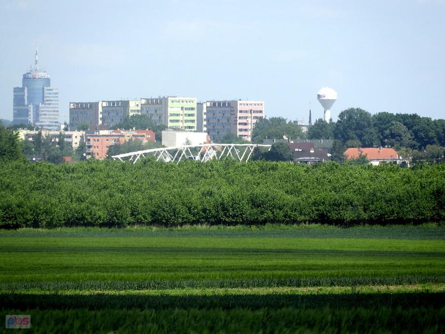 Fragment Szczecina - widok z drogi Kurów - Przecław.