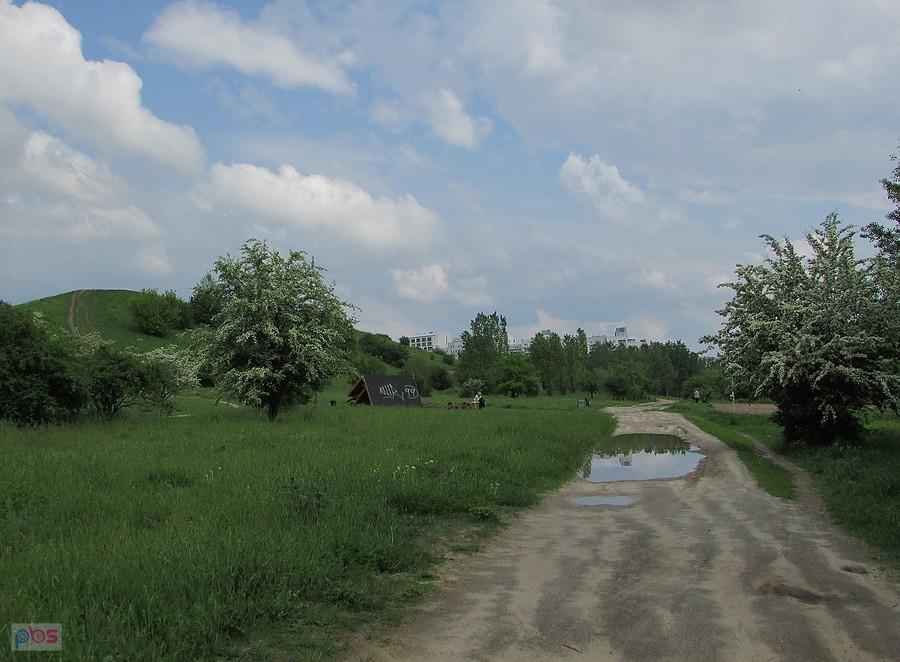 Droga pomiędzy Kazurką, a Lasem Kabackim