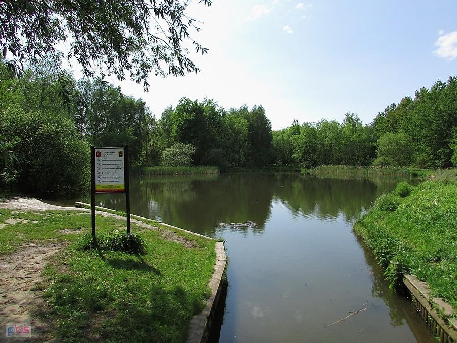 Staw Moczydełko pod Lasem Kabackim