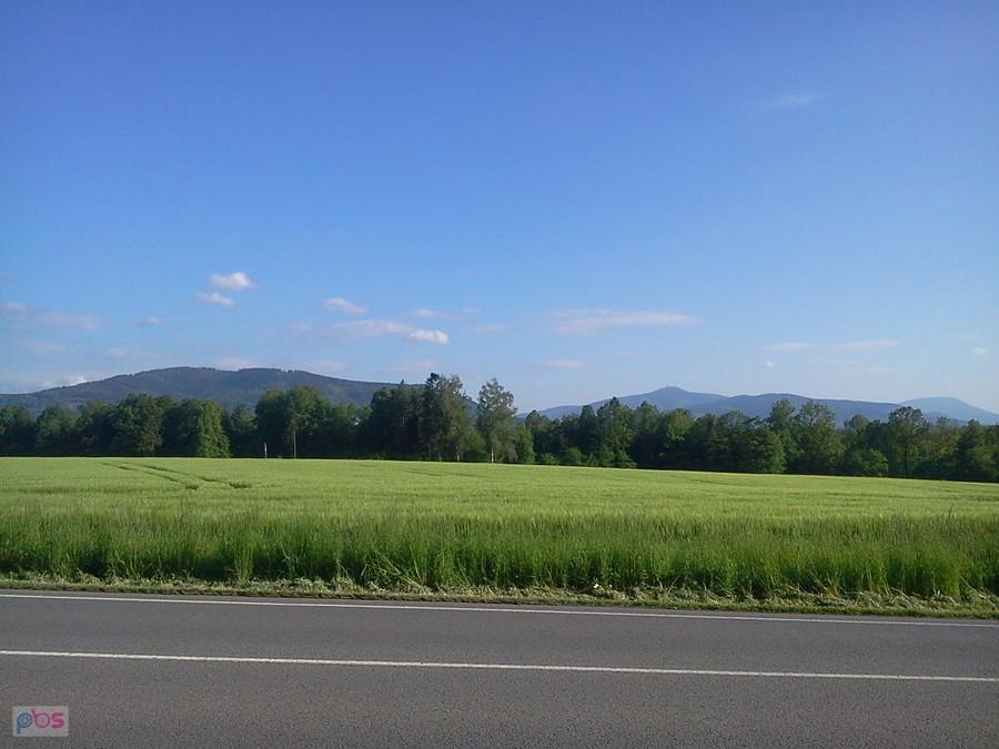 Widoczek na Beskidy