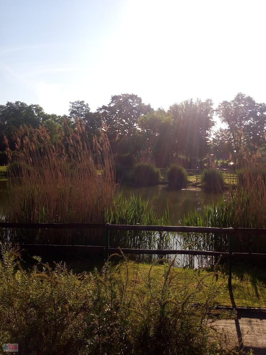 Trzeci staw