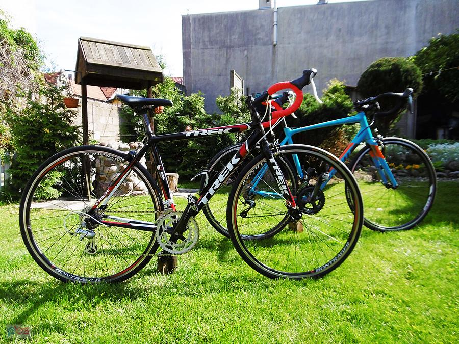 Trek Alpha 1.1. Giant Contend SL 2