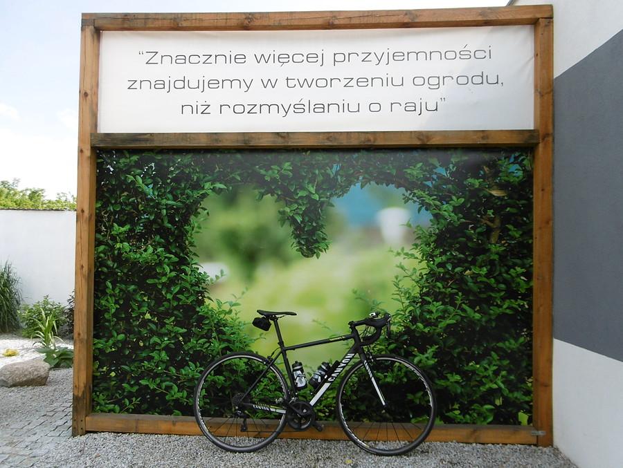 Zgadzam się z tym, zresztą tegoż dnia jadę właśnie na ogródek działkowy :)