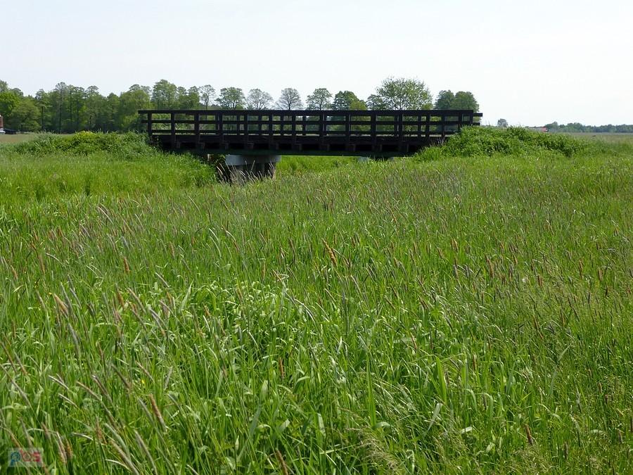 Kolejny most