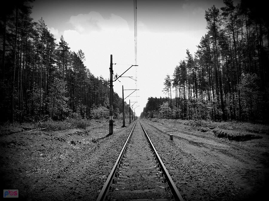 Picasa rządzi