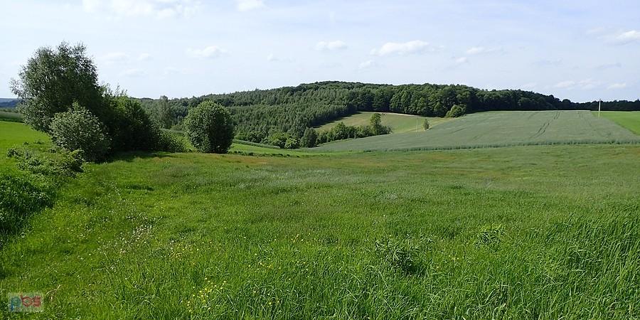 Gdzieś w okolicach Mzurowa