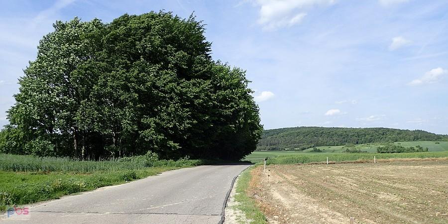 Widoczek z trasy