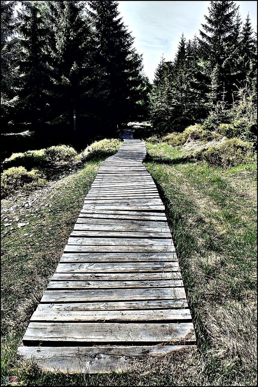 Prawie jak north shore ;)