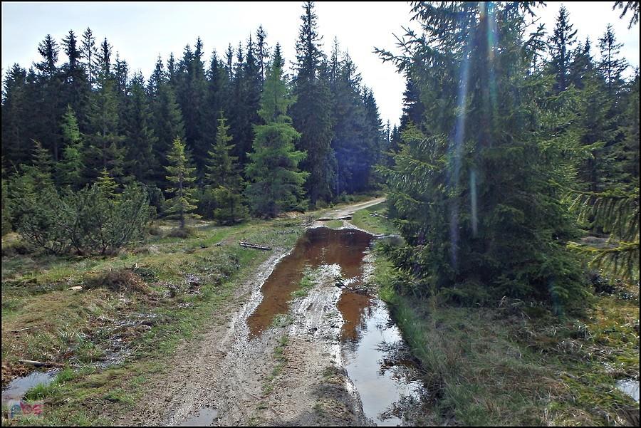 Duża kałuża