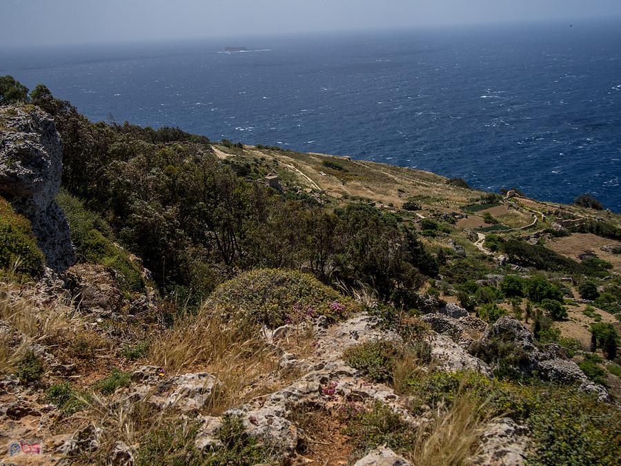 Klify Dingli