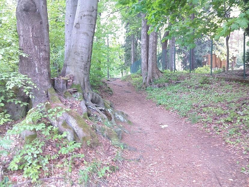 Fragment ul. Krasińskiego w Szklarskiej :)