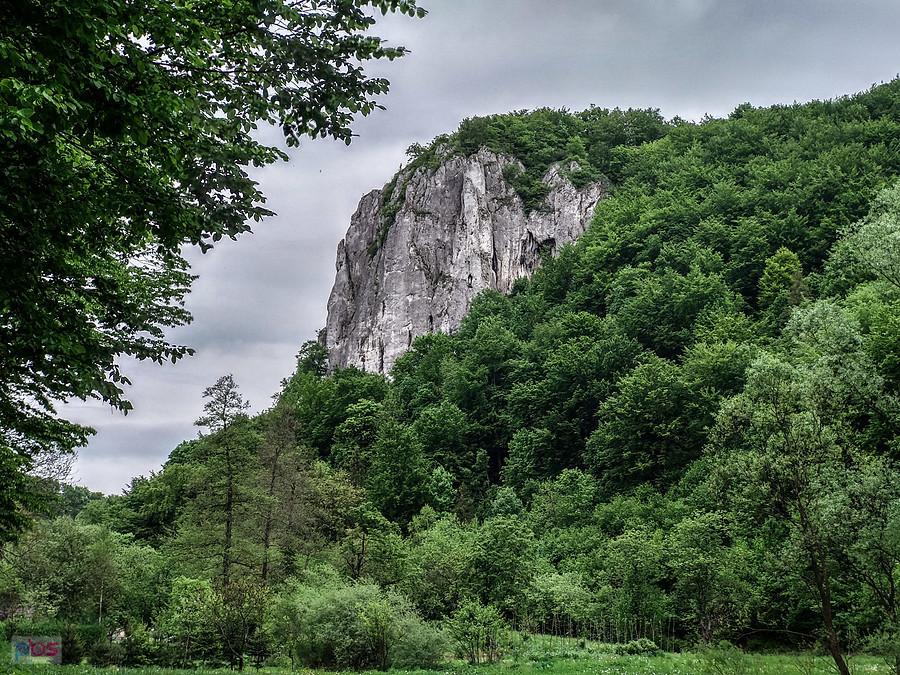 Sokolica